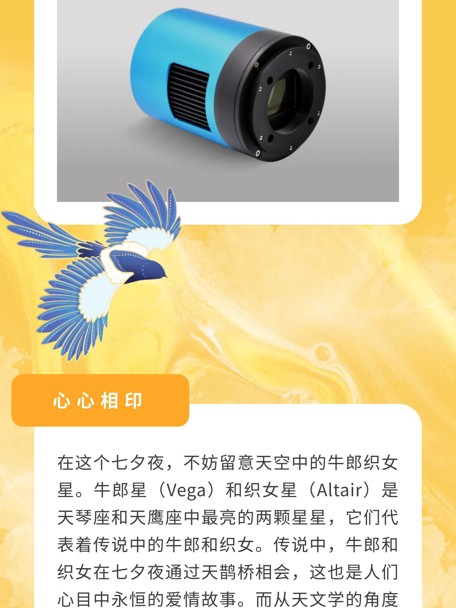 与星空宇宙共度浪漫时刻