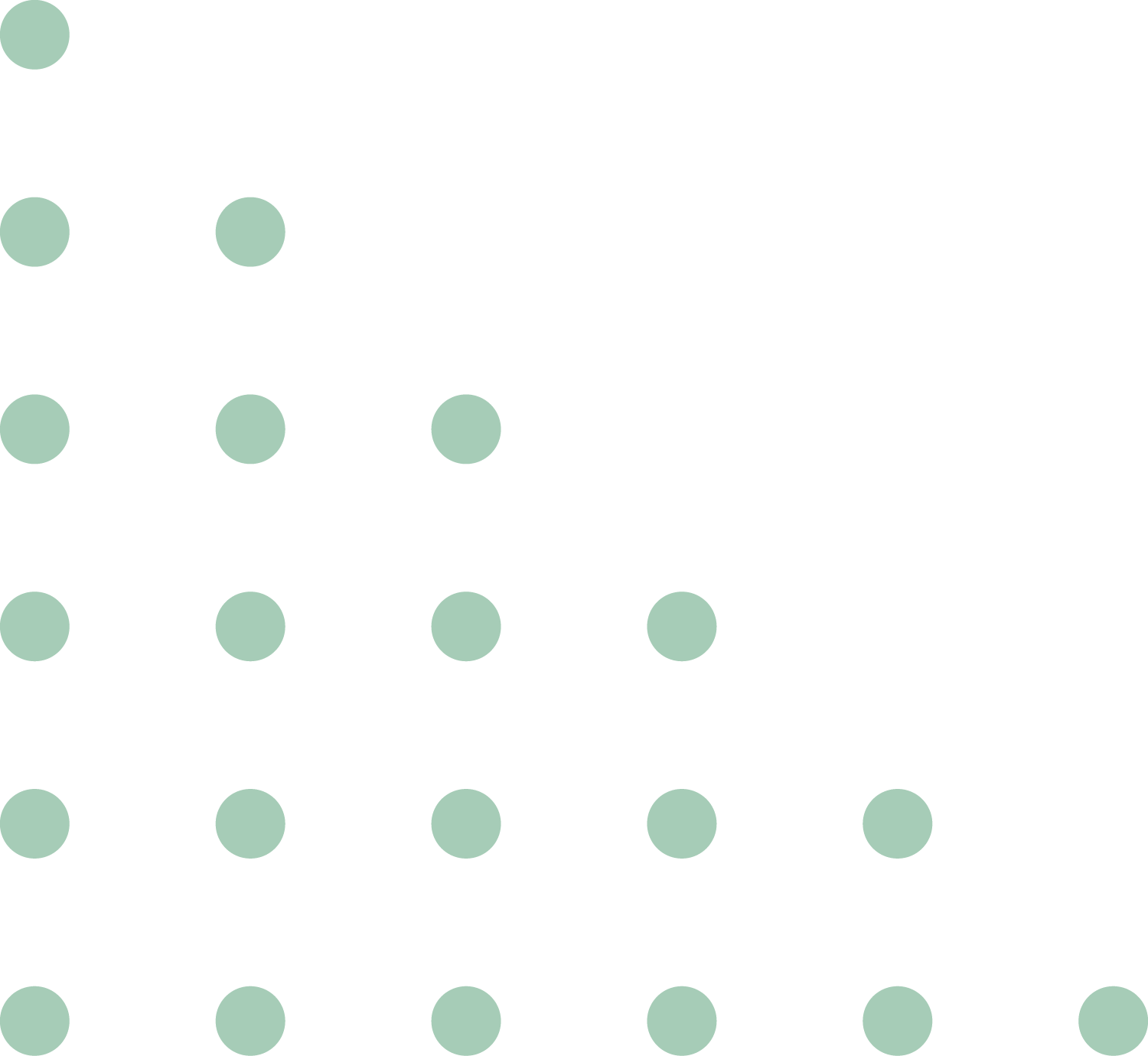 StellaVita 整体功能概览