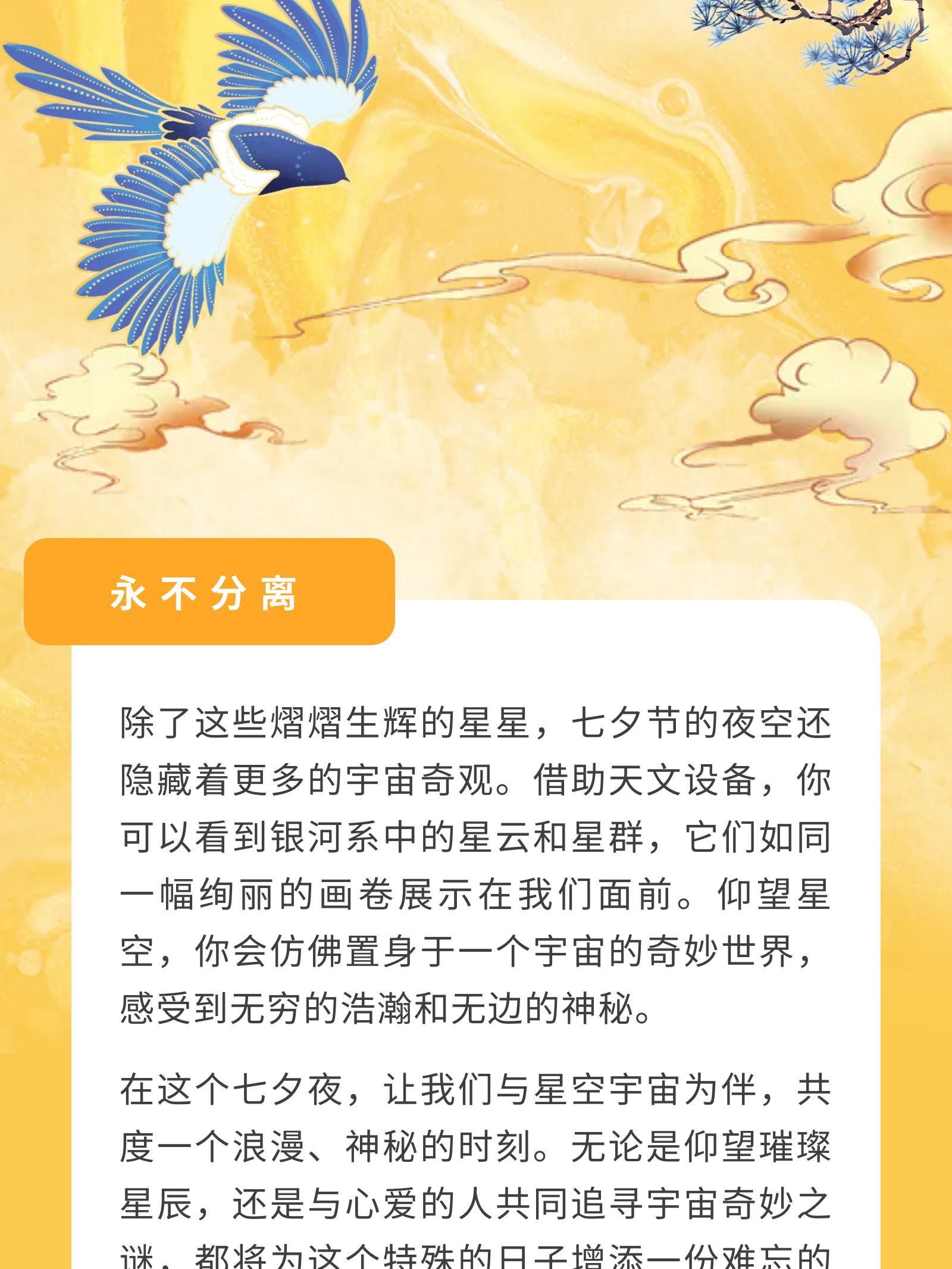 与星空宇宙共度浪漫时刻