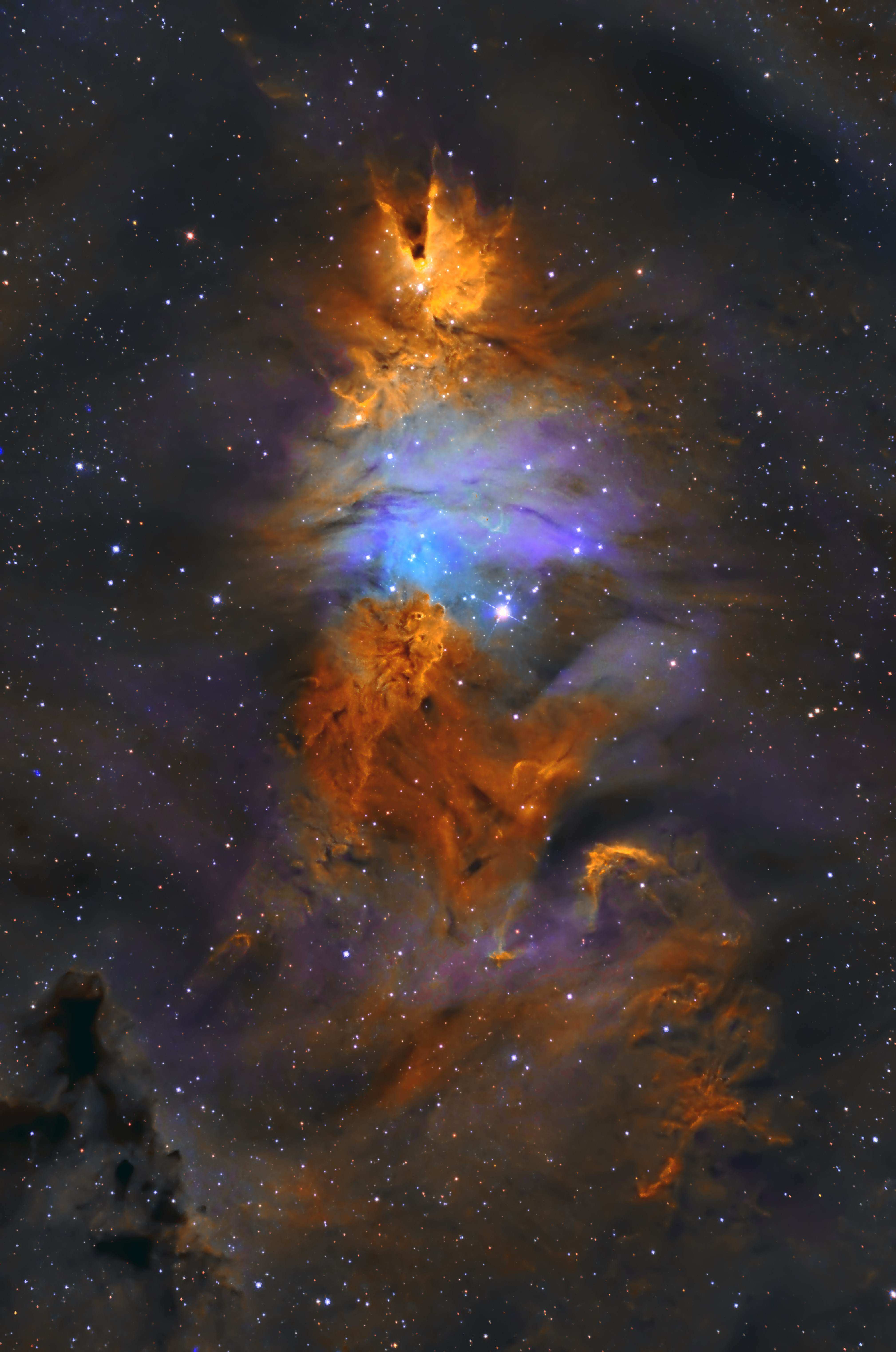 圣诞树星云