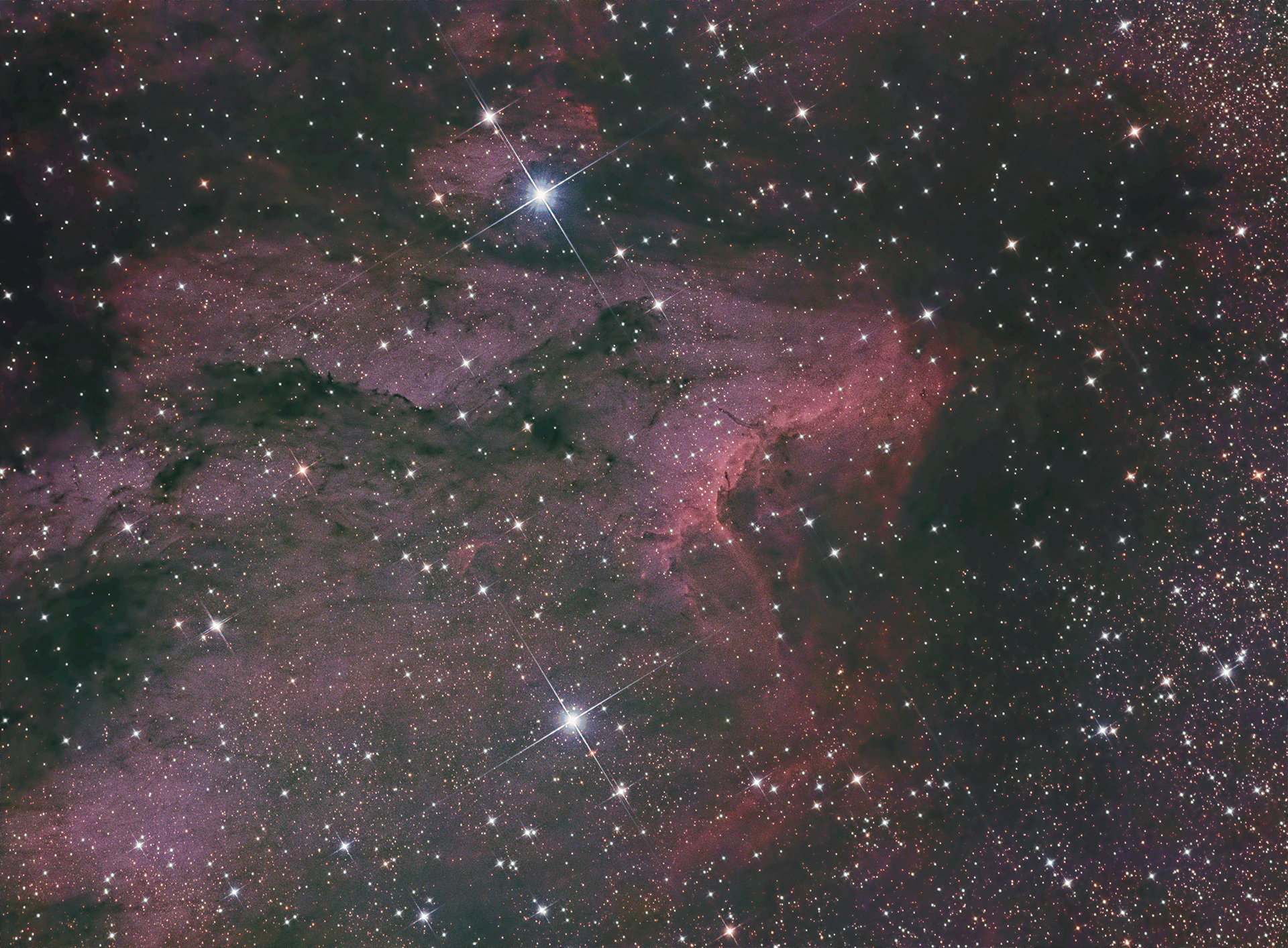 鹈鹕星云