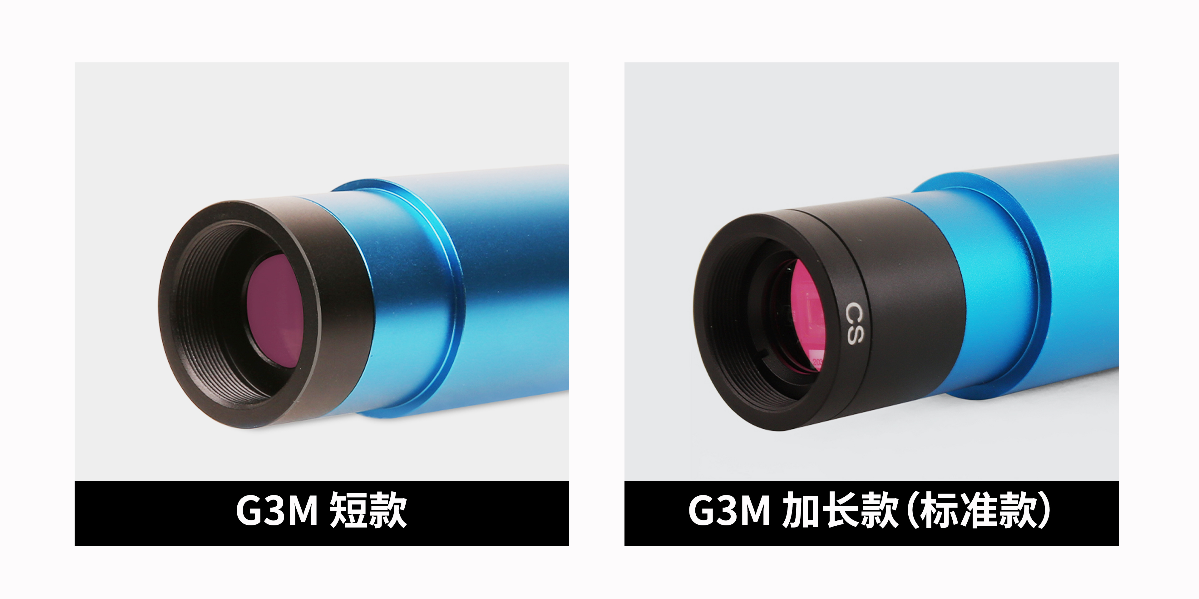 前端设计选项